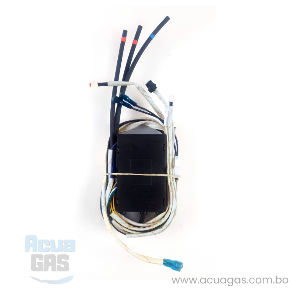 Módulo de encendido para calefón de 220V Tiro Forzado 2 solenoides
